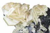 Sandwich Calcite Crystal Cluster with Pyrite - Inner Mongolia #181717-3